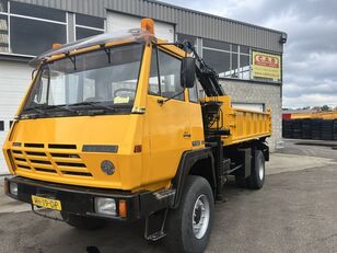 Steyr 19S31 4x4 pokretna dizalica